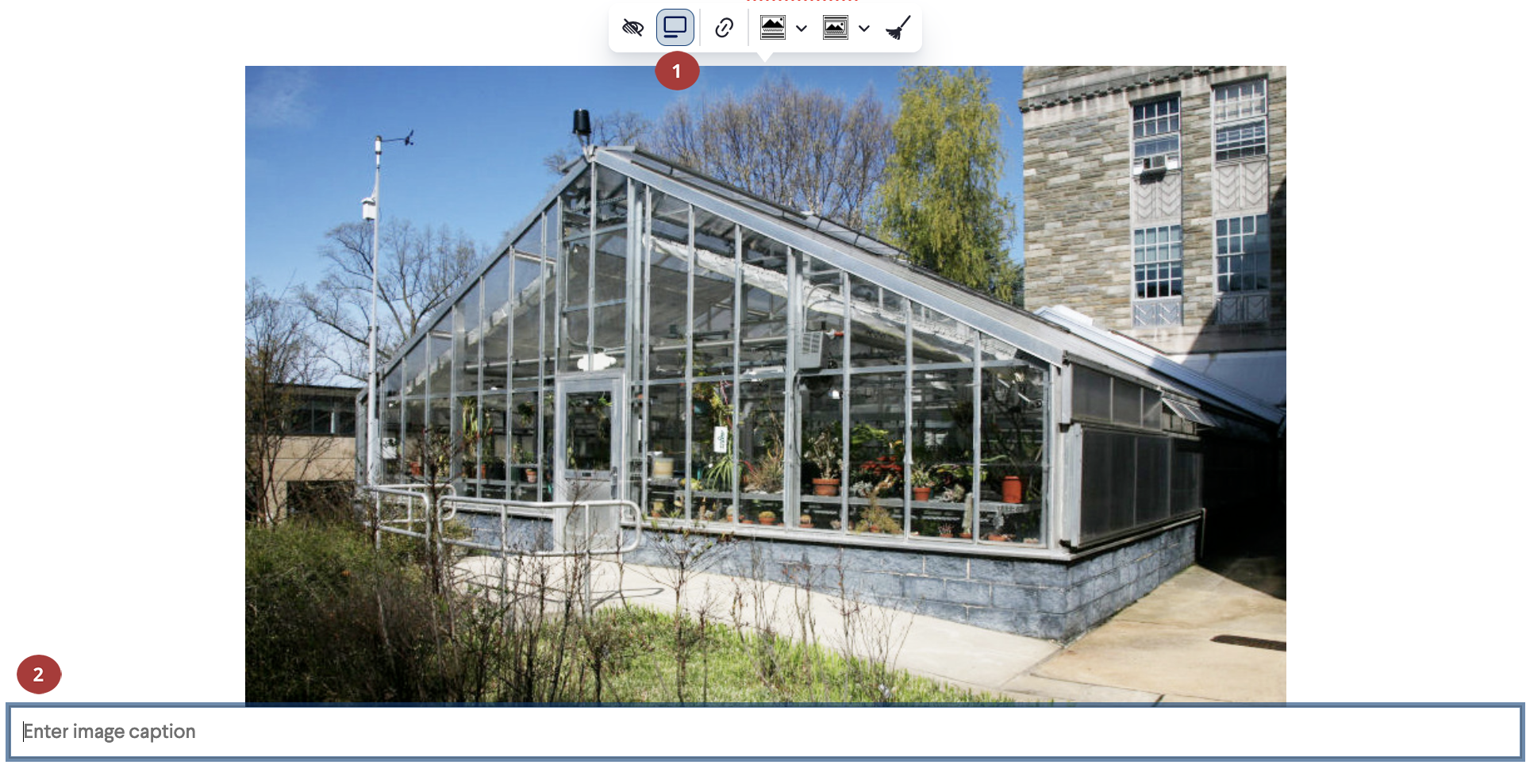 Screenshot showing how to enable or disable an image caption.